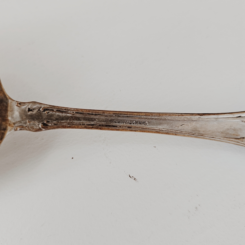 Vintage Silver and Rusted Serving Spoon - Picture 4 of 4